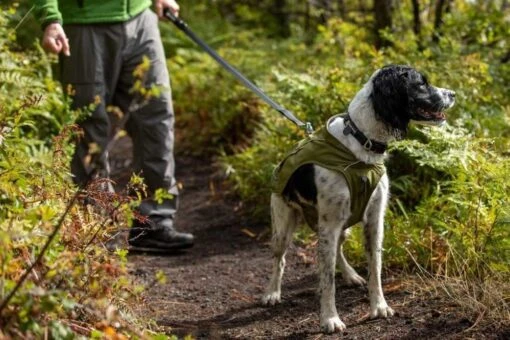 Ruffwear Hondenjas Fuse Cedar Green -Huisdierenseries Winkel image 698