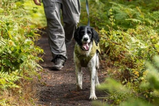 Ruffwear Hondenjas Fuse Cedar Green -Huisdierenseries Winkel image 700